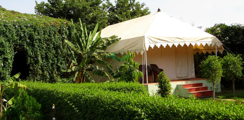 Jungle Retreat Ranthambore