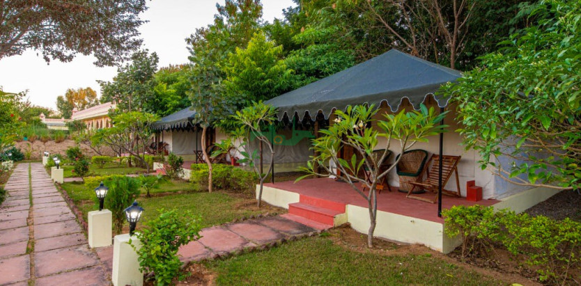 Jungle Cave Resort Ranthambore