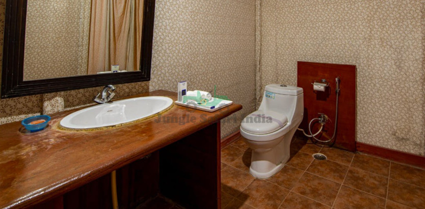 Jungle Cave Resort Ranthambore